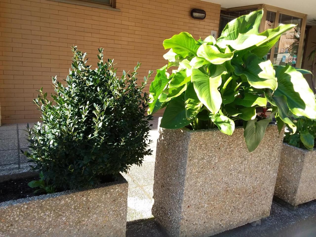 Albergo Nyers Perugia Exterior foto